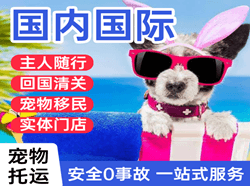 漠河航空运输国际宠物托运 【国